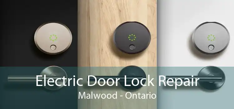 Electric Door Lock Repair Malwood - Ontario